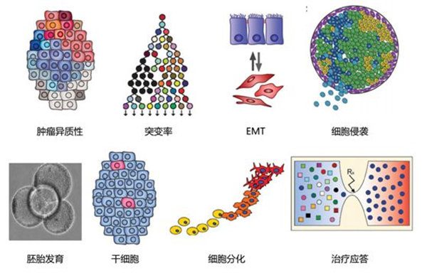 RNA-seqϸת¼ۿеоӦ