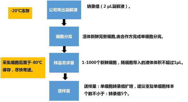 RNA-seqϸת¼ۿеоӦ