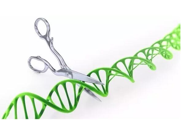 ͨĵϸRNA·sNuc-Seq