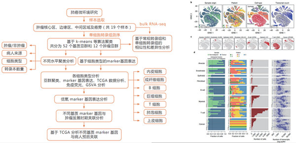 10X Genomics ϸת¼